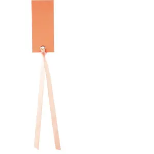Comparateur de prix : Marque-places Ruban - Corail x 12