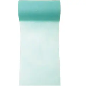 RueDeLaFete Ruban Intissé - Mint - 10 Mètres pas cher