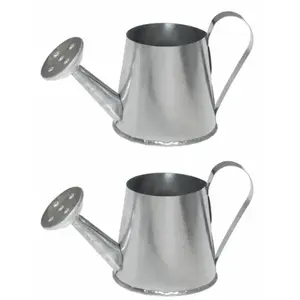 RueDeLaFete Lot de 2 petits Arrosoirs en métal 5x9cm pas cher