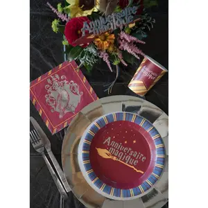 Comparateur de prix : RueDeLaFete 10 assiettes carton rond apprenti sorcier ø22.5cm - chalayer 000759400000099
