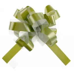 RueDeLaFete Sachet de 5 Noeuds automatiques tulle, vert Sauge pas cher