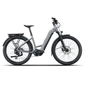 Lapierre Vélo électrique E-explorer 5.5 Low Cues Rd-u3020 2026 S pas cher