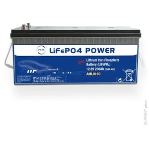 NX Batterie Lithium Fer Phosphate LiFePO4 power UN38.3 (2560Wh) 12V 20... pas cher