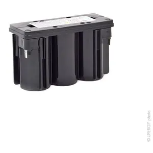 Batterie cyclon 0819-0012 Monobloc (d cell) 6V 2.5Ah F4.8 - Enersys pas cher