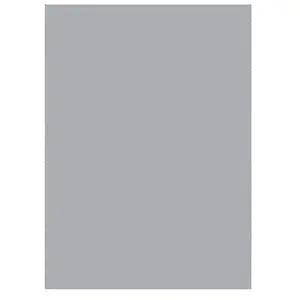 Silhouette Roboflex pour transfert sur textile - 34 x 21 cm - Argent mat pas cher