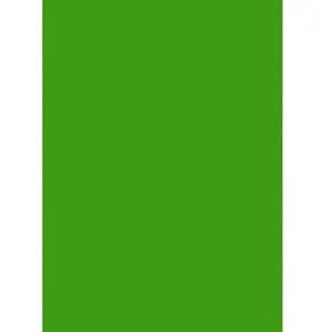 Silhouette Roboflex pour transfert sur textile - 34 x 21 cm - Vert pomme mat pas cher