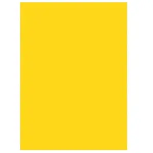 Silhouette Roboflex pour transfert sur textile - 34 x 21 cm - Jaune citron mat pas cher