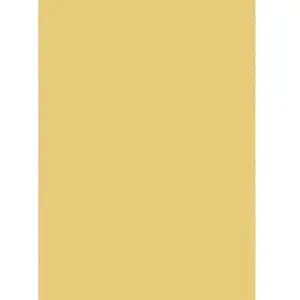 Silhouette Roboflex pour transfert sur textile - 34 x 21 cm - Beige mat pas cher