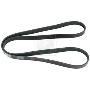 Courroie D'accessoires Nps T111a75