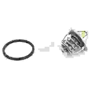 Thermostat Nps T153a20 pas cher