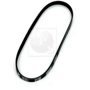 Courroie D'accessoires Nps D111o04Vendu parnorauto