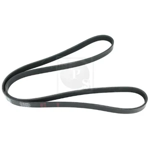 Courroie D'accessoires Nps T111a54Vendu parnorauto