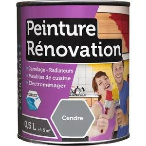 Comparateur de prix : Batir Peintures Peinture rénovation multi-surfaces boîte 0,5 l cendre