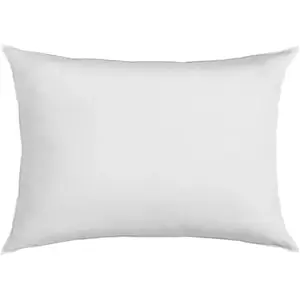 Comparateur de prix : Lot de 2 oreillers 100% plumettes de Canard Candice, CAMIF 50 x 70 cm 