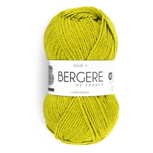 Pelote IDEALE 4 - Bergère de France(...) - KIWI pas cher