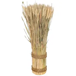RueDeLaFete Grande BOTTE Epi de Blé naturel verticale 50cm pas cher
