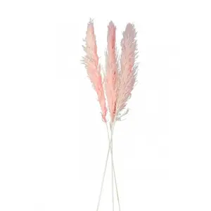 RueDeLaFete Lot de 3 grandes tiges Herbe de la Pampa 100-120 cm, rose pas cher