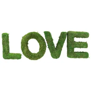 Chaks 4 LETTRES LOVE EN MOUSSE 20CM Vert, anis Vert, Anis pas cher