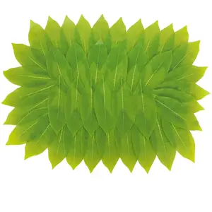 CHAKS Grand Centre de table feuilles de Pachira exotique 45 x 60 cm pas cher