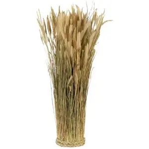 RueDeLaFete Botte Ronde de Lagurus naturel 55cm pas cher