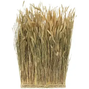 CHAKS 1 Botte Lagurus rectangulaire 34 x 8 x 60 cm REF/13331 Thème décoration nature Champêtre. pas cher