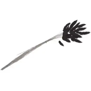 RueDeLaFete Bouquet 25 tiges de Lagurus Noire 50-60 cm pas cher