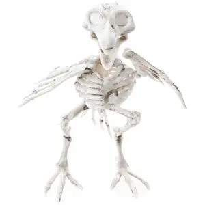 RueDeLaFete Squelette de Corbeau 18,5cm pas cher