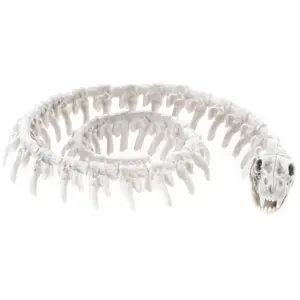 Comparateur de prix : Chaks - Squelette DE Serpent 20CM - Décoration spécial Halloween - Thème(s) : Cimetière désenchanté