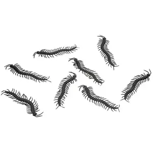 RueDeLaFete 8 MILLE-PATTES DÉCO PLASTIQUE 14X3.5CM NOIR pas cher
