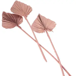 10 feuilles palmier découpées 55cm rose désert - chaks 11572-32 pas cher