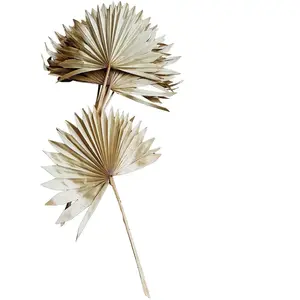 RueDeLaFete Feuilles de palmier - Blanc - 10 pièces - 55 cm - Décoration intérieure - Style contemporain pas cher
