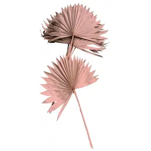 JOUR DE FETE 10 Feuilles de palmier de 55 cm - Couleur Rose désert pas cher