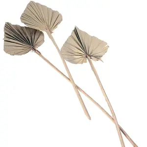RueDeLaFete Feuilles décoratives - Naturel - 10 pièces - 55 cm - Exotique - Ethnique - Mixte pas cher