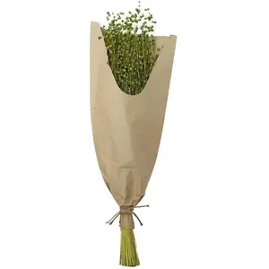 RueDeLaFete BOUQUET FLEURS DE LIN SÉCHÉES 60CM VERT CLAIR Vert pas cher