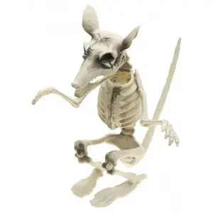 rat squelette 20x26x29cm - chaks 12121 pas cher