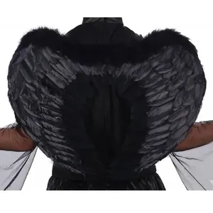 Comparateur de prix : Ailes d'ange en plumes 45x60cm, Noir