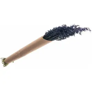 RueDeLaFete Bouquet d'avoine séché 65cm bleu pas cher