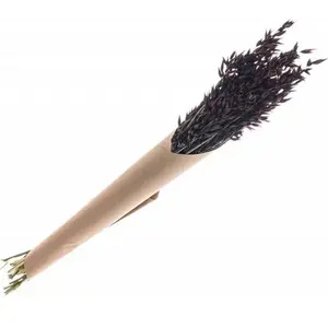 RueDeLaFete Bouquet d'avoine séché 65cm brun pas cher