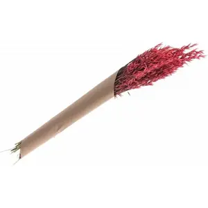 RueDeLaFete Bouquet d'avoine séché 65cm rose pas cher