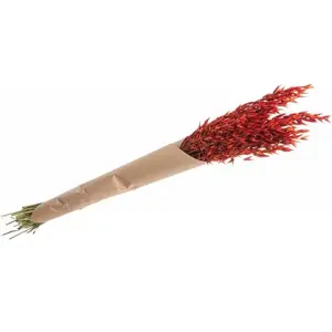 RueDeLaFete Bouquet d'avoine séché 65cm orange pas cher