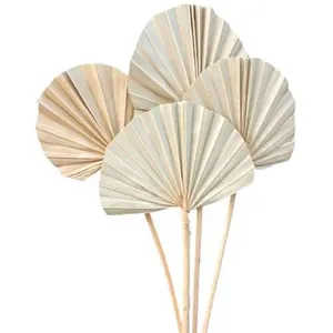 RueDeLaFete 10 feuilles de palmier arrondies 50cm nature - chaks 11892 pas cher