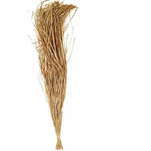 RueDeLaFete BOUQUET RAPHIA BAMBOU SÉCHÉ 110CM 250G NATUREL  Beige, Ivoire, Crème, Écru, Naturel, Taupe pas cher