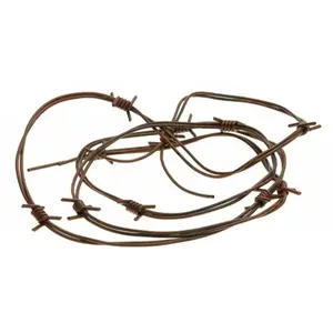 Chaks 12221, Fils barbelés Effet Rouille 2,5m pas cher