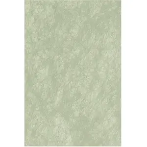 Comparateur de prix : Chaks CHEMIN DE TABLE ROMANCE 30CMX10M VERT SAUGE Vert