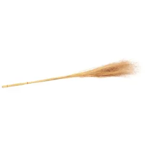 RueDeLaFete 50 MUEHLENBECKIA SÉCHÉES 90CM NATUREL pas cher
