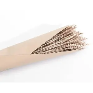 RueDeLaFete Bouquet de blé naturel 65cm, Rose Gold pas cher