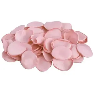 RueDeLaFete Sachet de 50 Pétales de rose satin luxe, Rose poudré pas cher