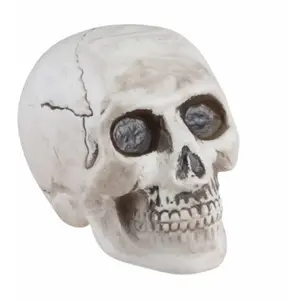 Comparateur de prix : TÊTE DE MORT DÉCO PLASTIQUE 9X13X10.5CM