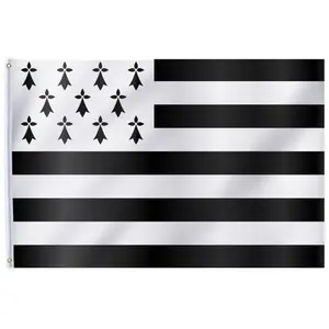 RueDeLaFete Drapeau Bretagne 90 x 150 cm pas cher