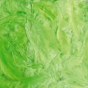 RueDeLaFete Boite de 100g de 1000 plumes 5-10cm, Vert pas cher